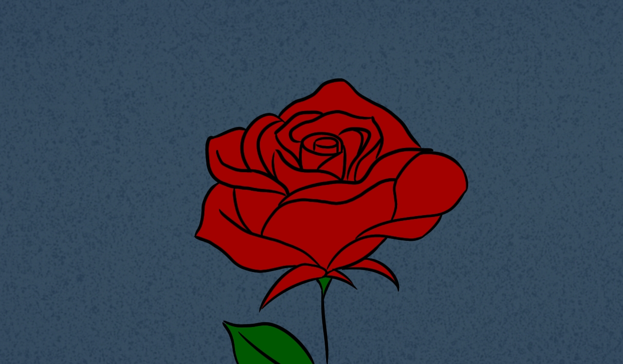 A red rose with dark petals and glints of light